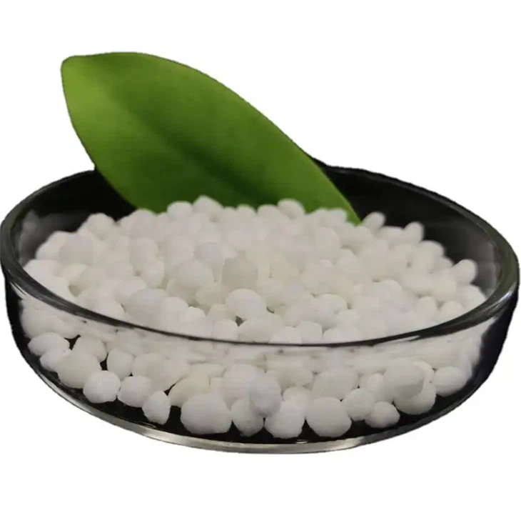 Calcium Magnesium Nitrate: A Powerful Soil Nutrient Enhancer