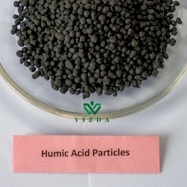 Humic Acid Granule Organic Fertilizer