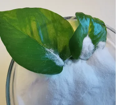 Agricultural Fertilizers Potassium Nitrate