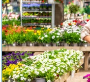 Cây của năm 2026 sẽ trở thành một mớ hỗn độn mỏng manh nếu bạn mắc phải sai l...