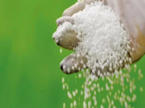 Làm thế nào để chọn phân bón mùa đông tốt nhất?