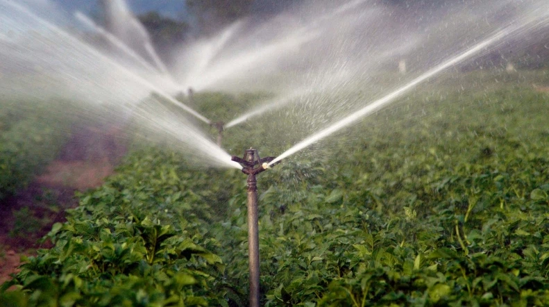 info-791-442 info-791-442