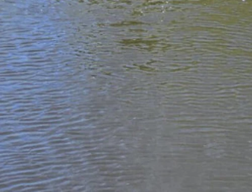 Máy bay không người lái-gắn trong phòng thí nghiệm Theo dõi dòng chảy phân bó...