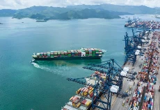 Hạn ngạch urê 3,3 triệu tấn và giá sàn FOB của Trung Quốc định hình lại thươn...