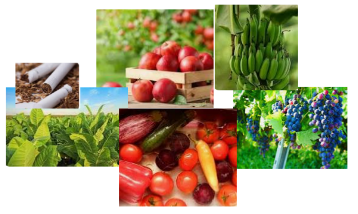 product-717-429 product-717-429