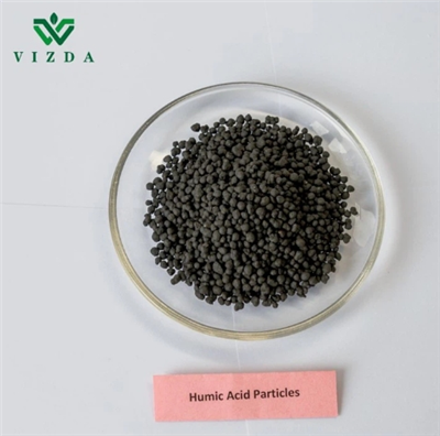 Hạt axit humic
